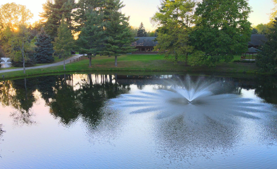 Pond Fountain With Wide Spray