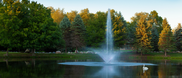 What Size Fountain For My Pond