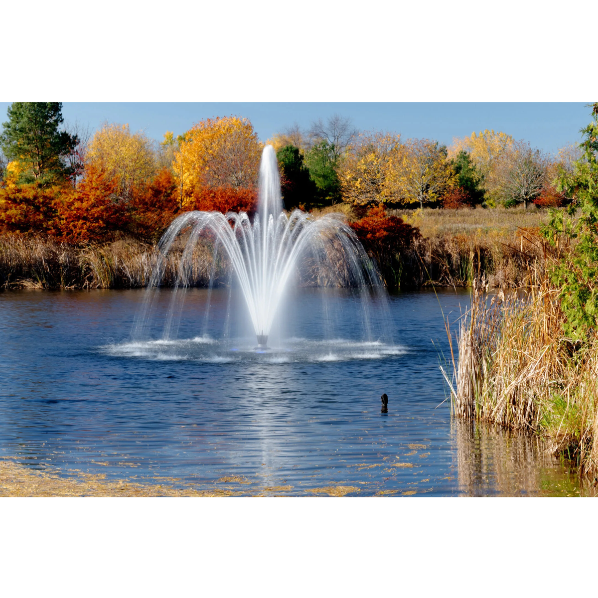 Aqua Control Select Series 2 Delmar Pond Fountain