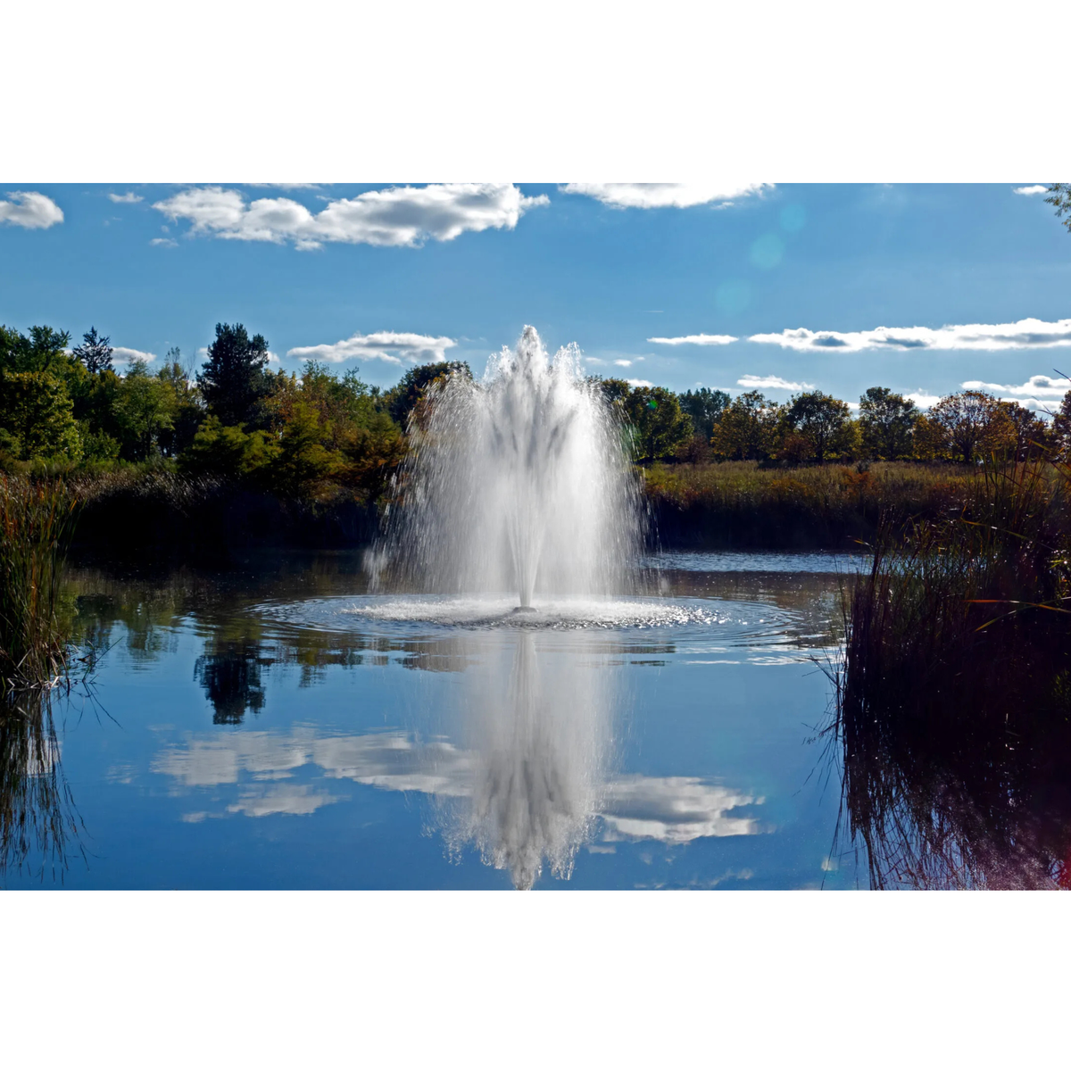 Aqua Control Select Series 2 Scepter Pond Fountain