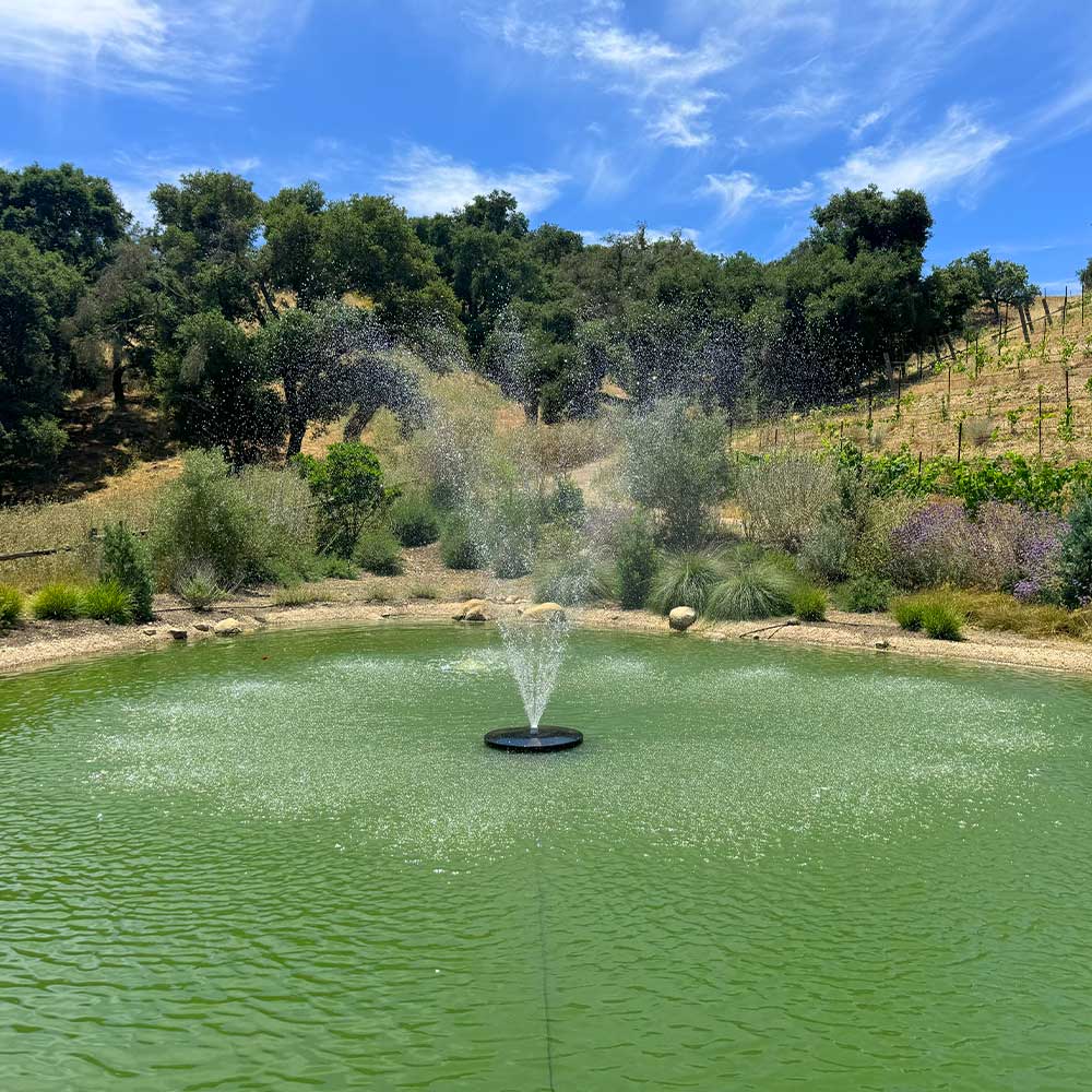 PondSelect Classic Series 5-In-1 Pond Fountain