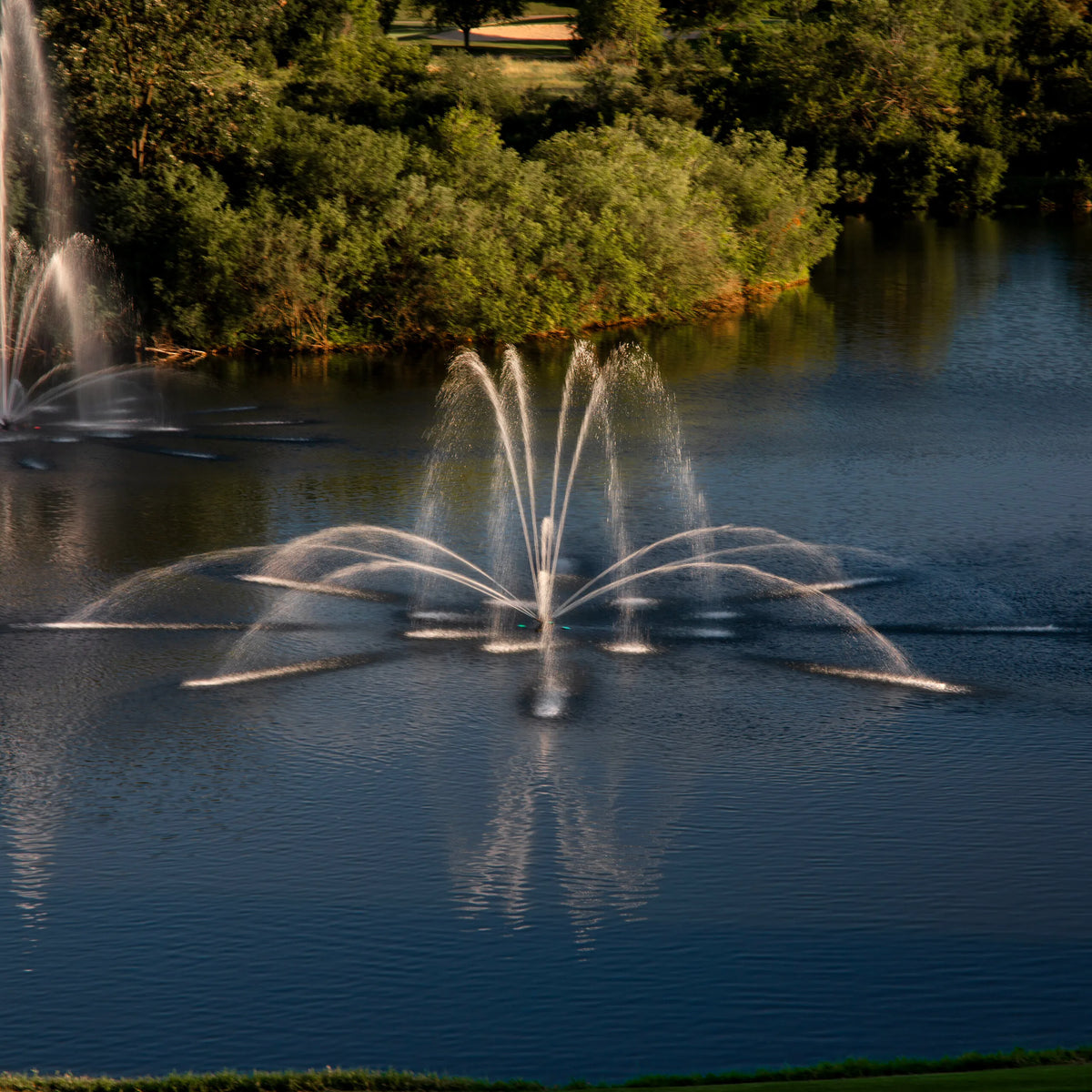 Aqua Control Select Series 2 Spider Arch Pond Fountain