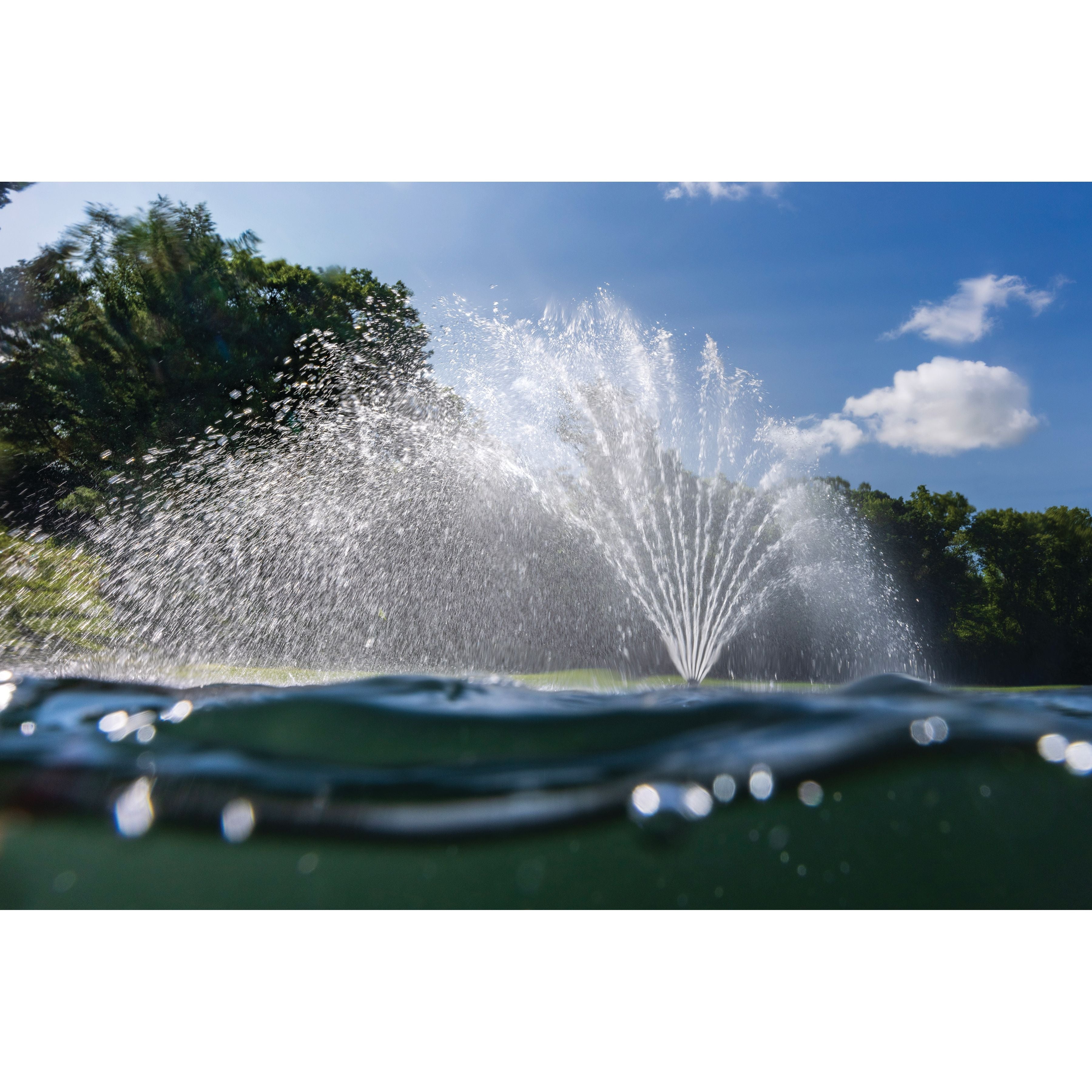 Kasco Fern Pond Fountain
