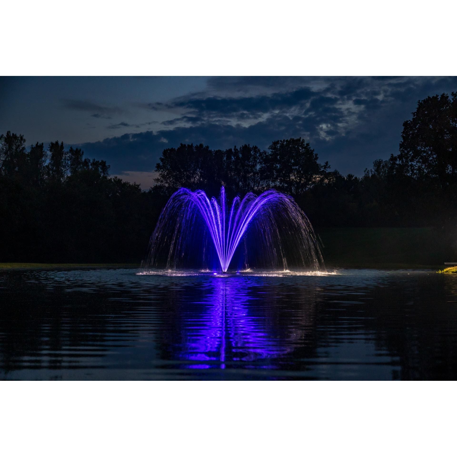 Kasco Palm Pond Fountain