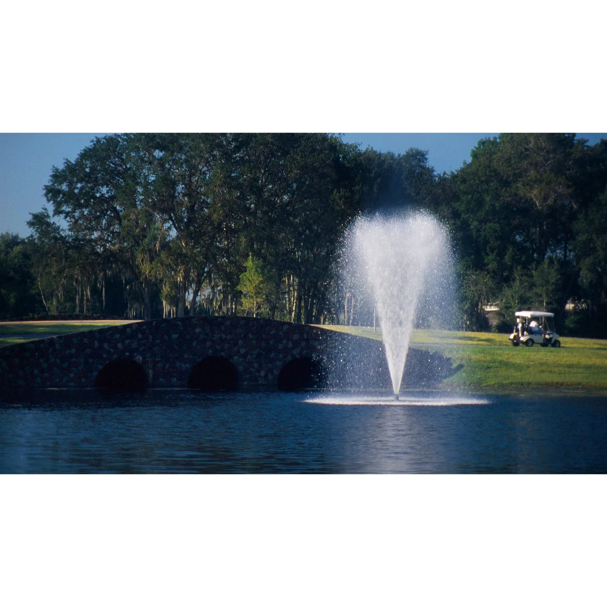 Aqua Control Select Series 2 Crown Gusher Pond Fountain