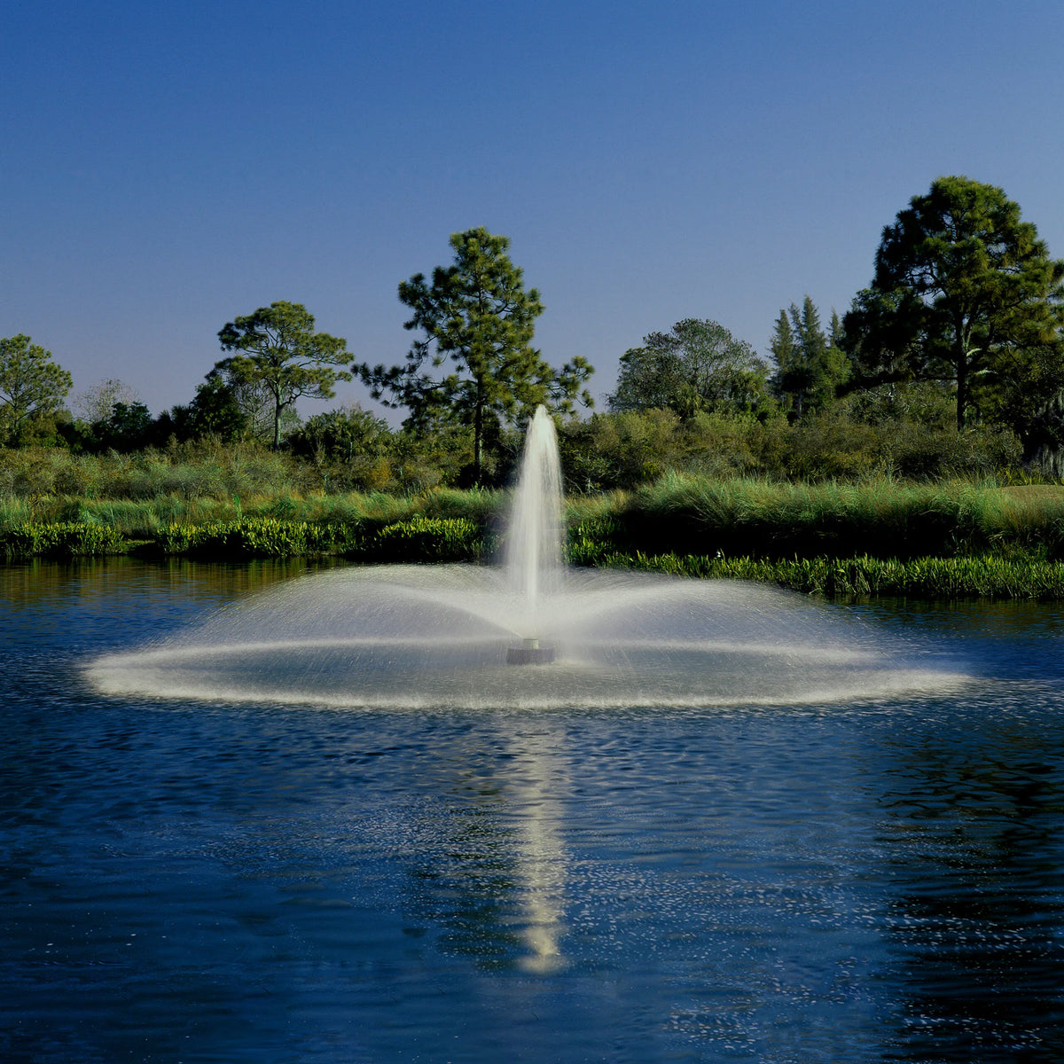 Aqua Control Select Series 2 Daffodil Pond Fountain