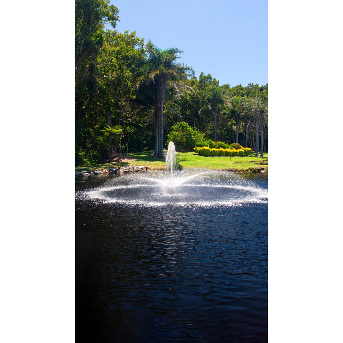 Aqua Control Select Series 2 Daffodil Pond Fountain