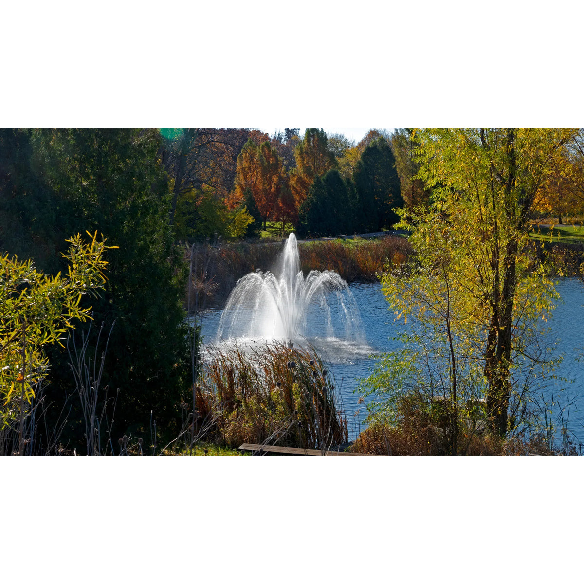 Aqua Control Select Series 2 Delmar Pond Fountain