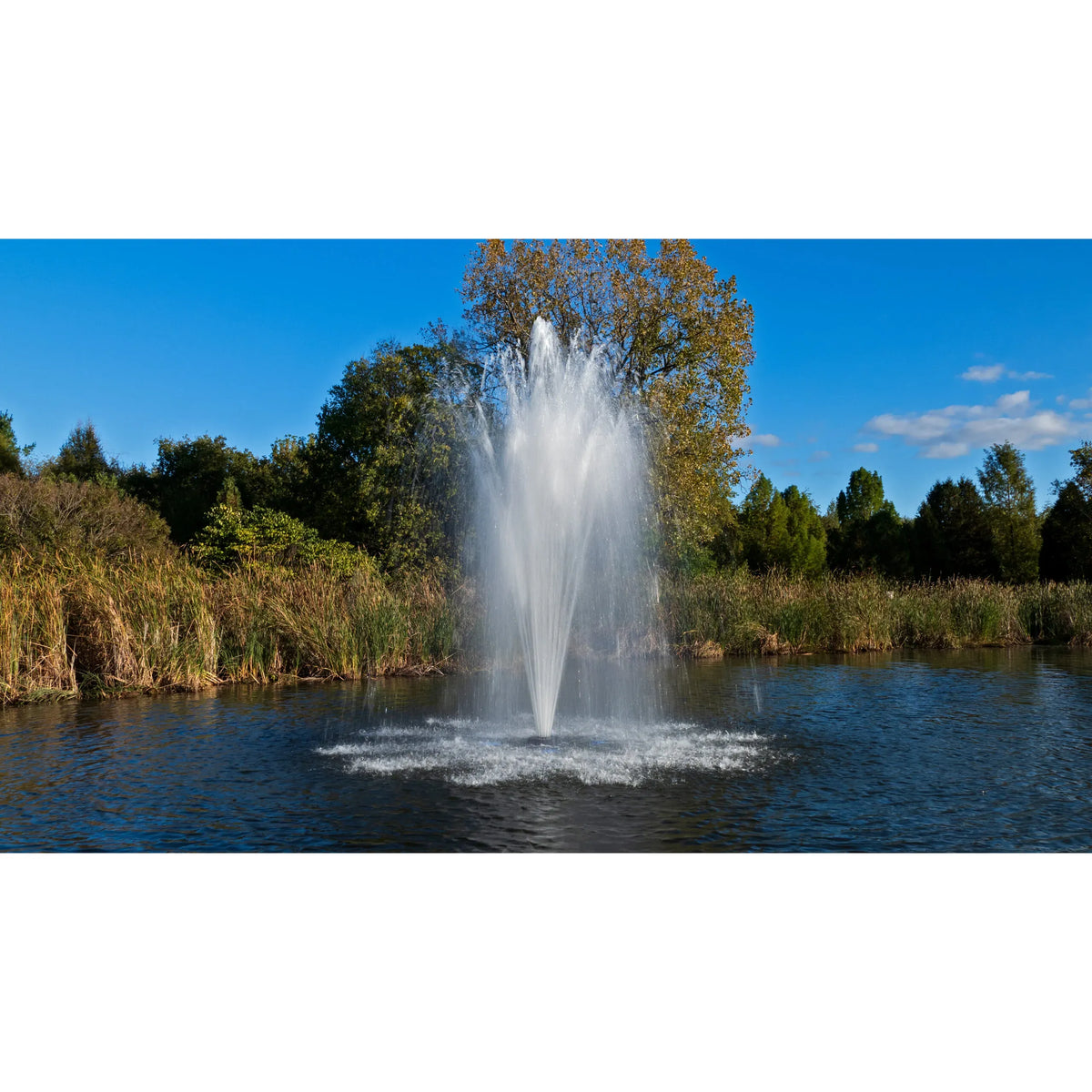 Aqua Control Select Series 2 Scepter Pond Fountain