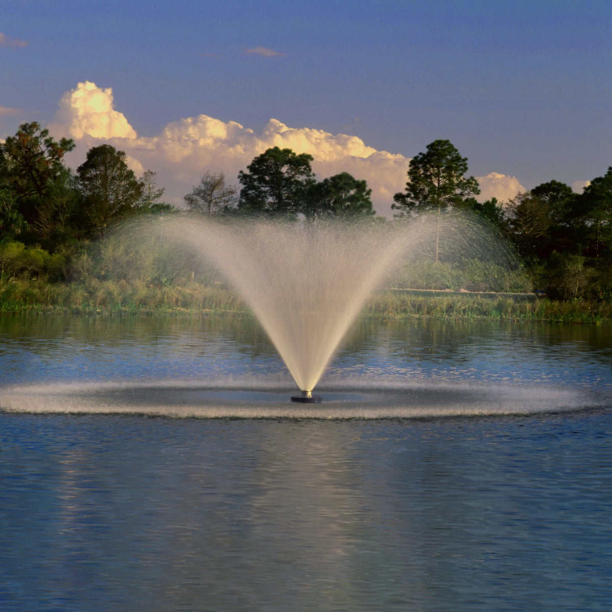 Aqua Control Select Series 2 Tornado Pond Fountain