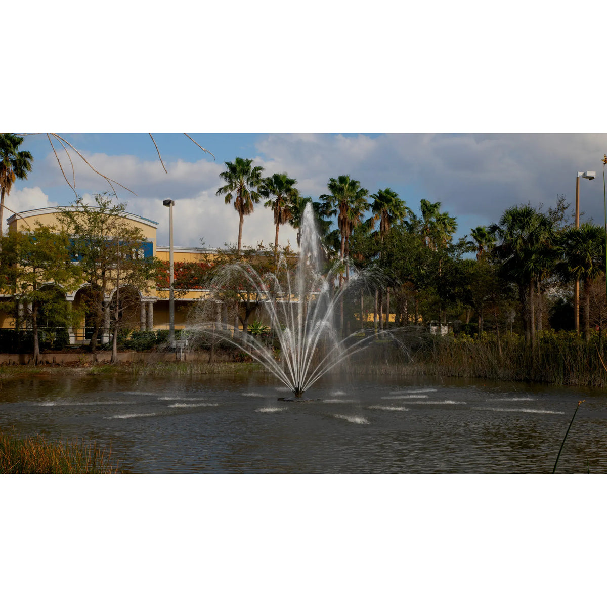 Aqua Control Select Series 2 Trillium Pond Fountain