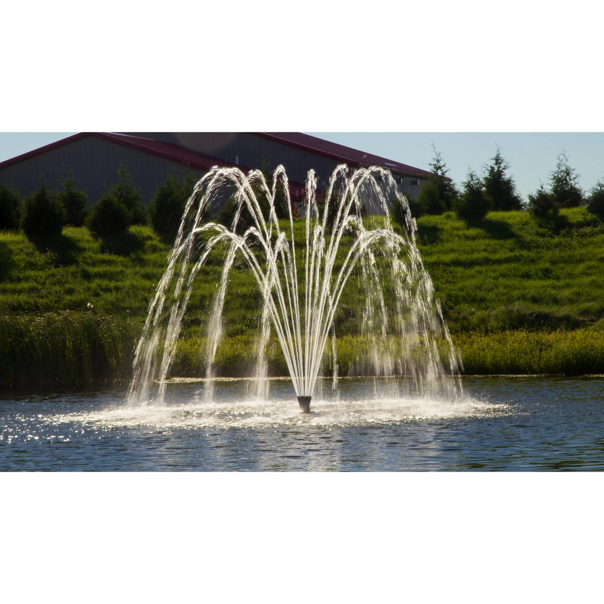 Aqua Control Select Series 2 Weeping Willow Pond Fountain