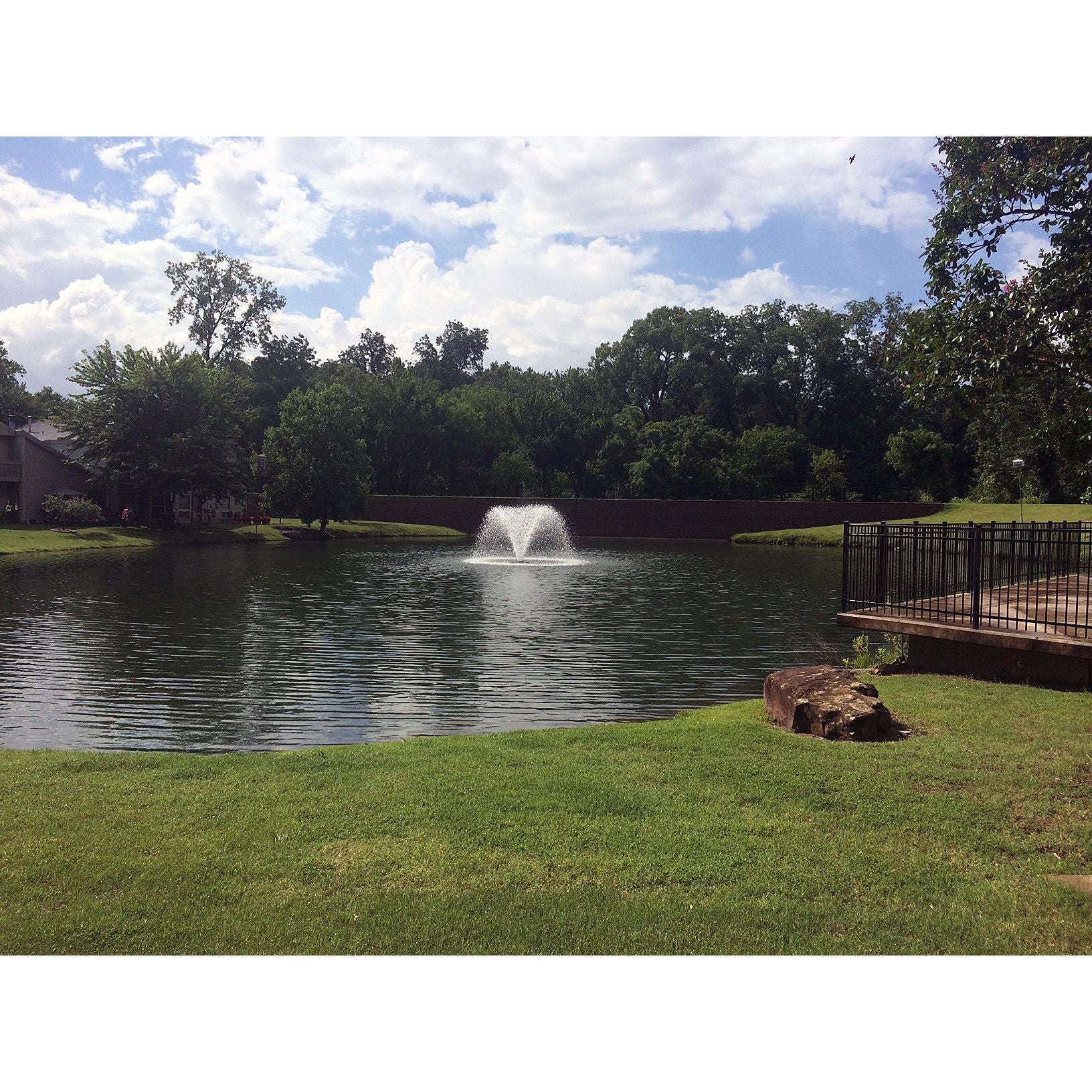 Scott Aerator North Star Aerating Pond Fountain