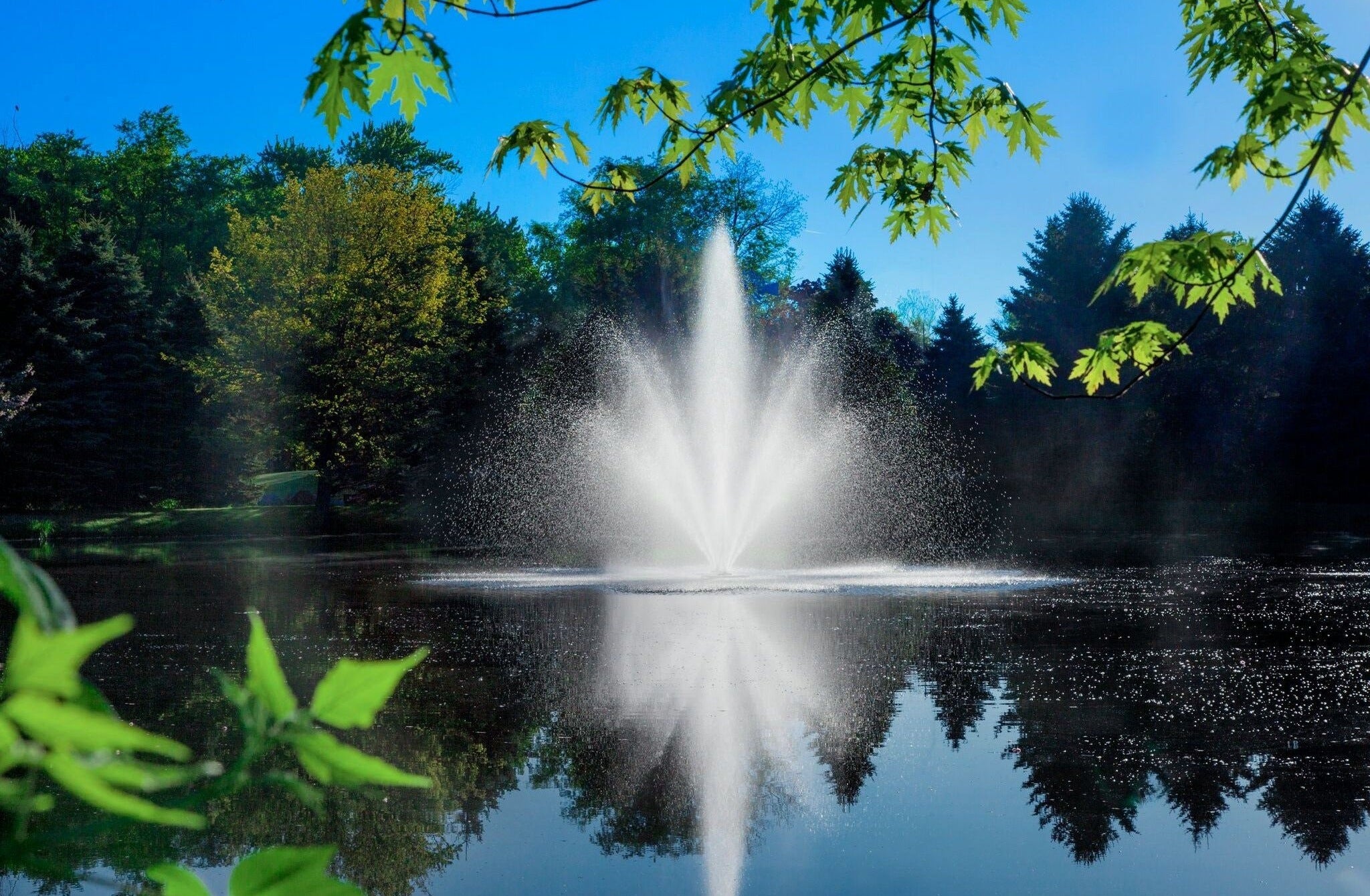 The Surprising Benefits of Aeration with Fountains