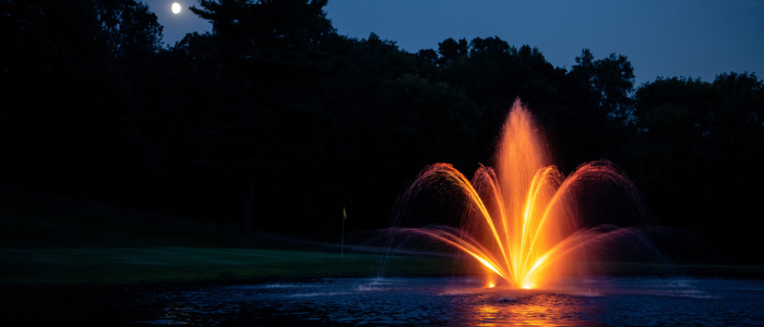 Why Are Pond Fountains So Expensive