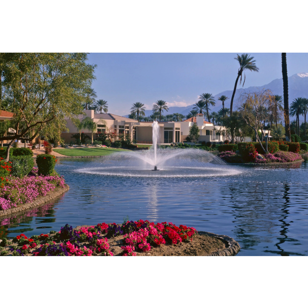 Aqua Control Select Series 2 Daffodil Pond Fountain
