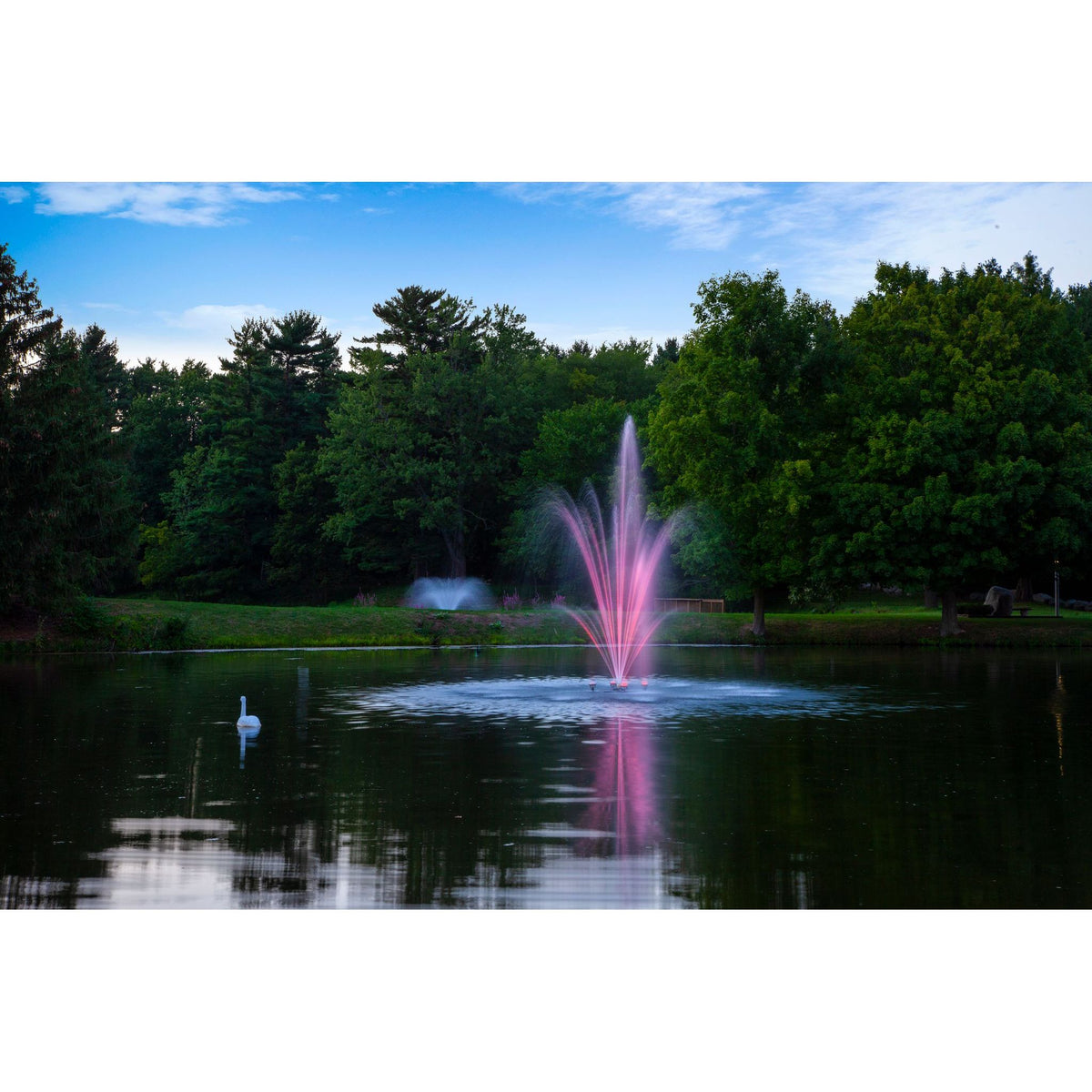 Scott Aerator Amherst Fountain In A Large Pond With Pink Glowing Lights