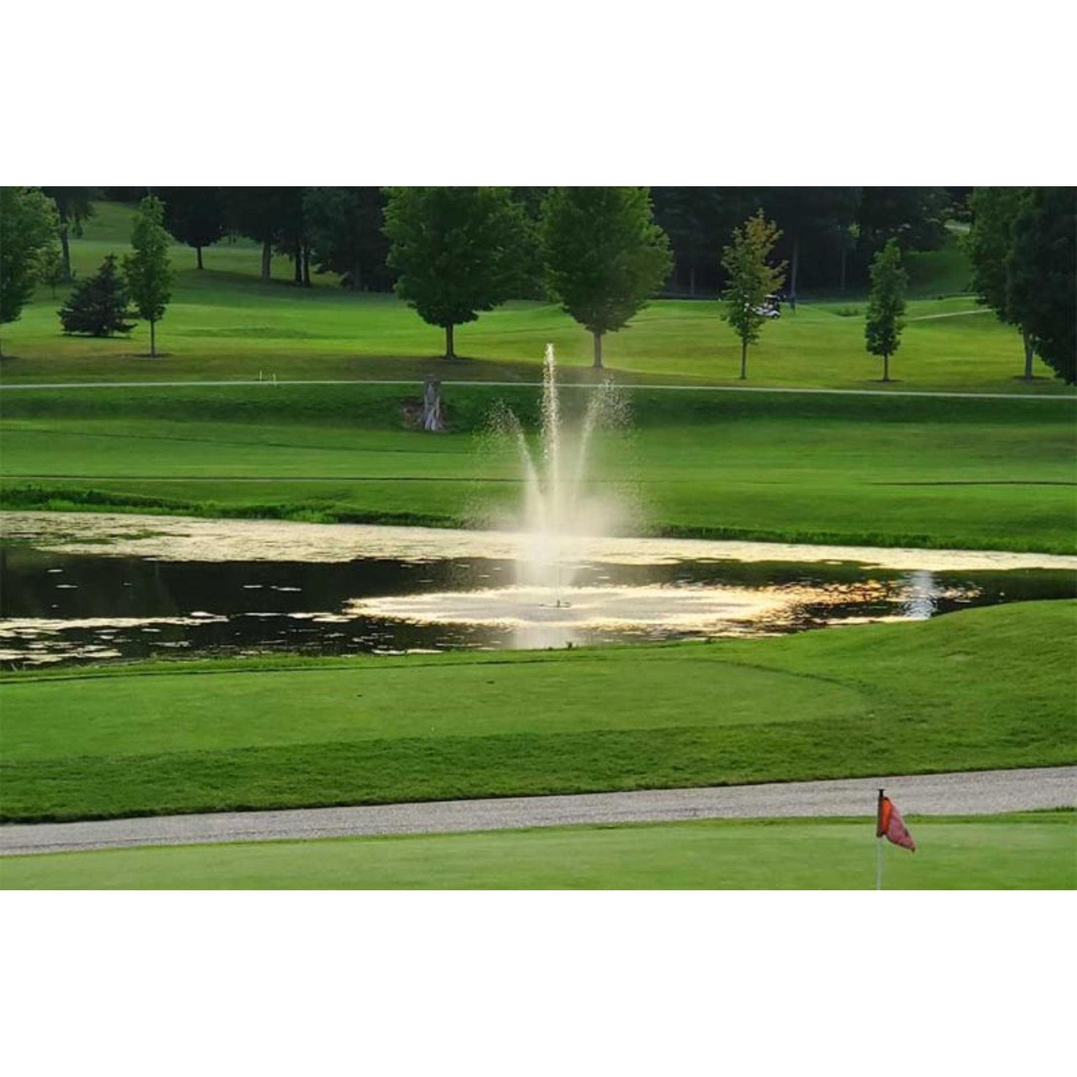 PondSelect Pro Series 5-In-1 Pond Fountain