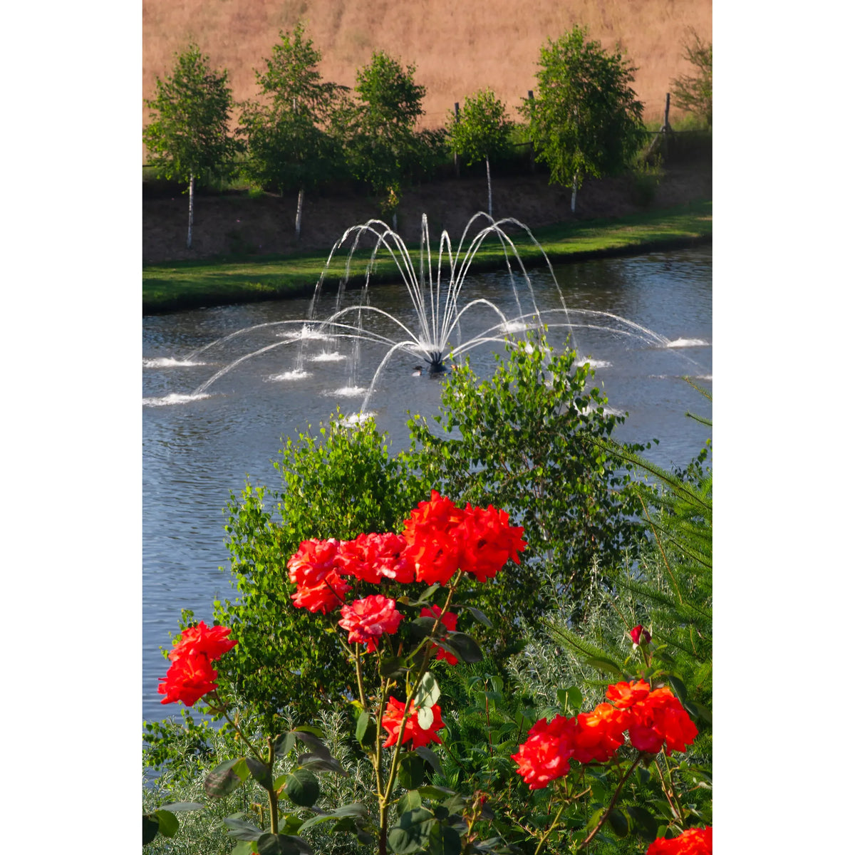 Aqua Control Select Series 2 Spider Arch Pond Fountain