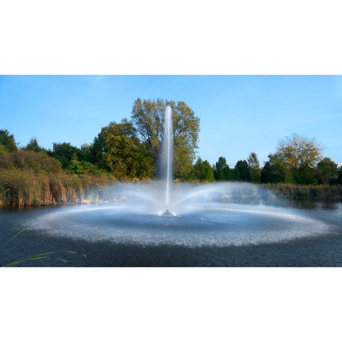 Aqua Control Select Series 2 Daffodil Pond Fountain