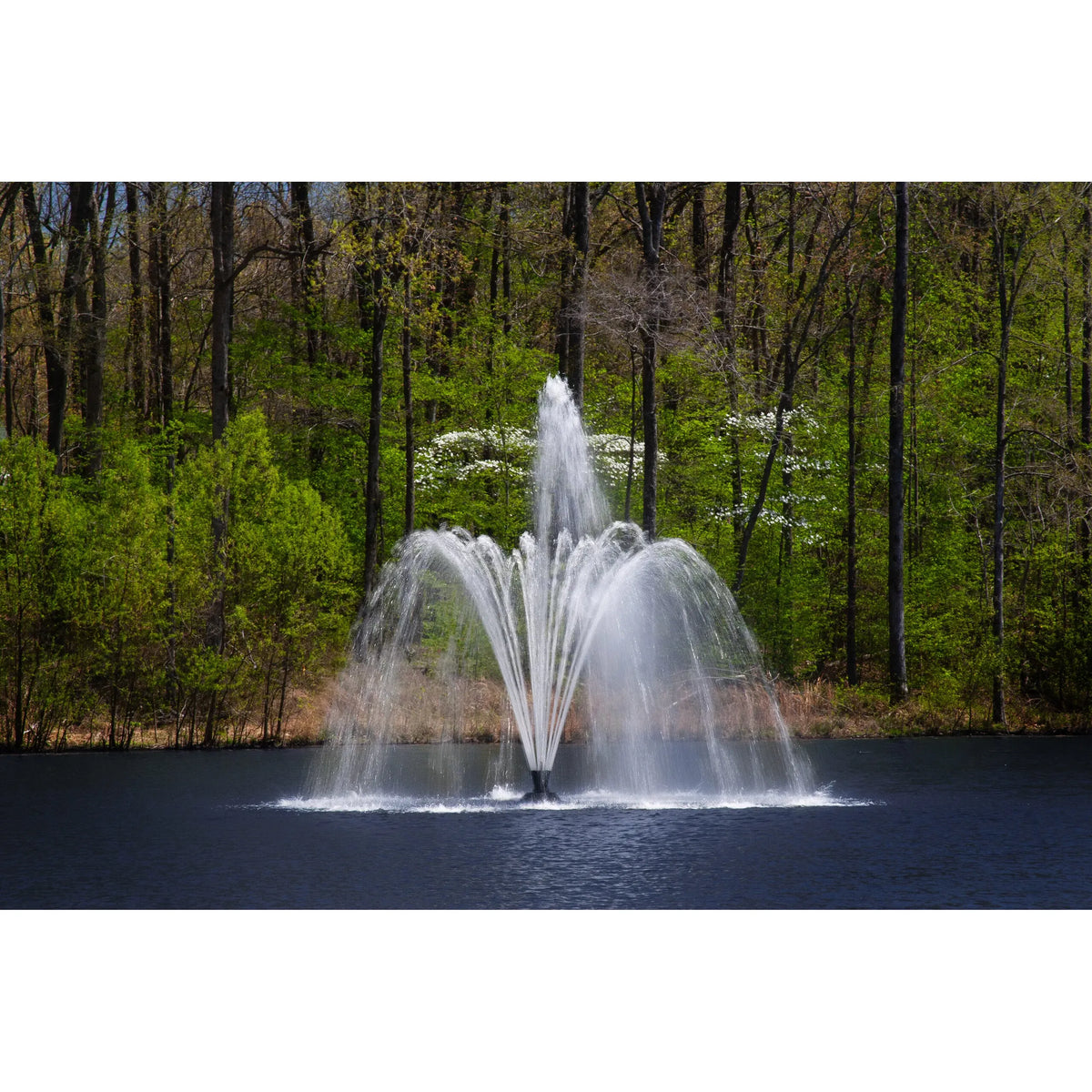 Aqua Control Select Series 2 Delmar Pond Fountain