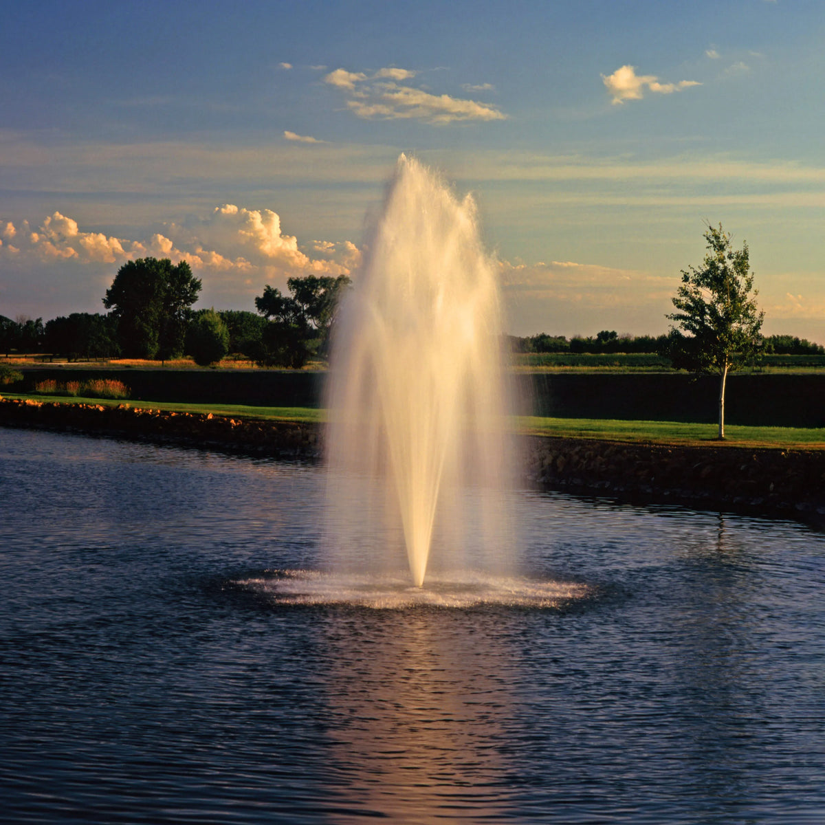 Aqua Control Select Series 2 Scepter Pond Fountain