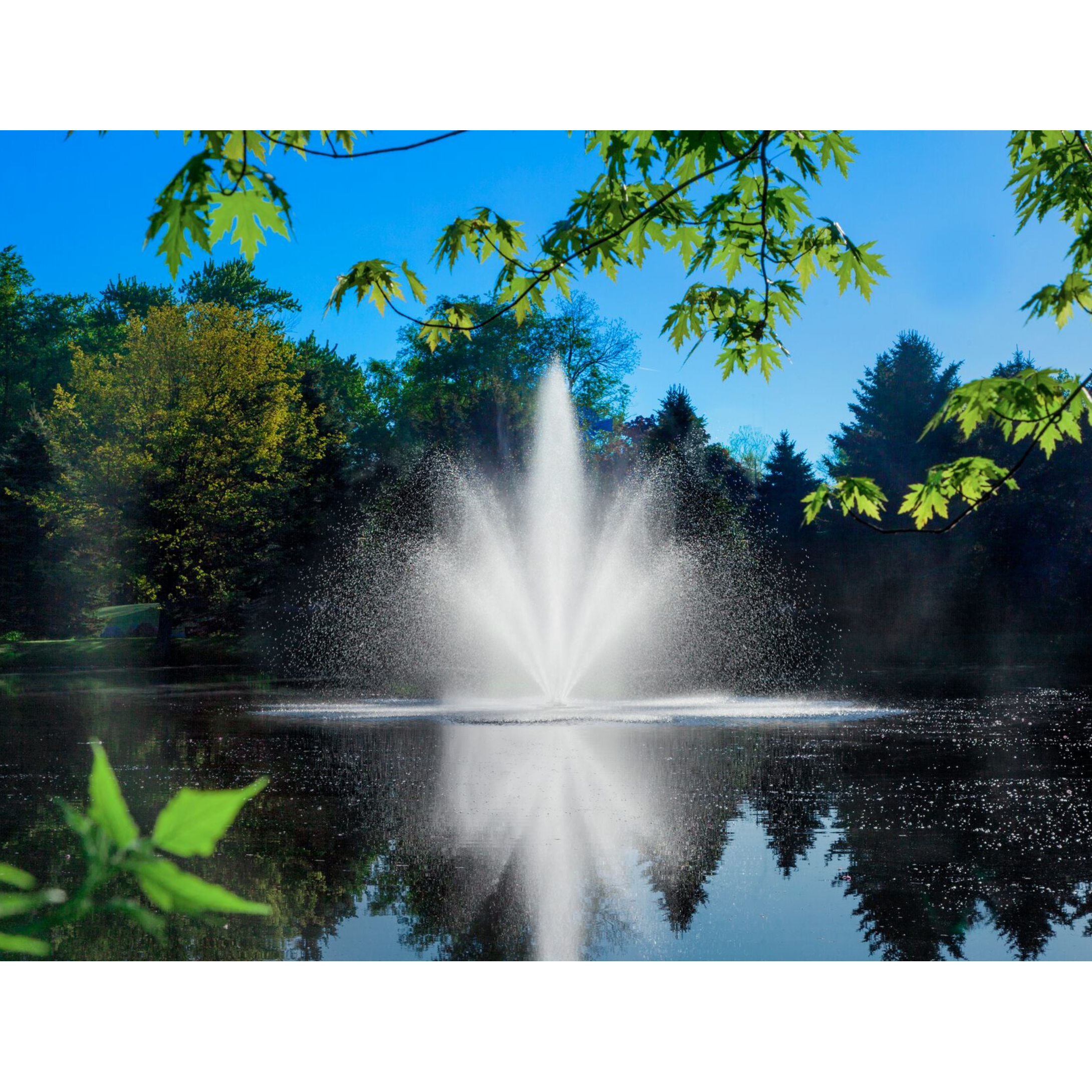 Scott Aerator Cambridge Pond Fountain