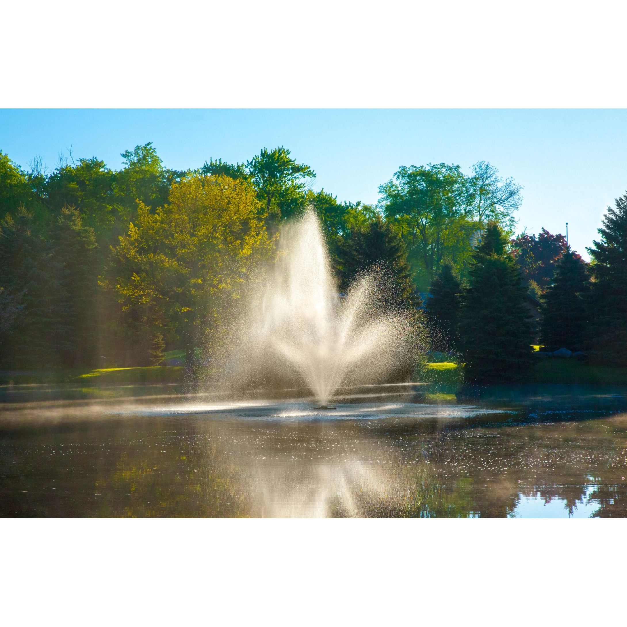 Scott Aerator Windsor 2-In-1 Pond Fountain