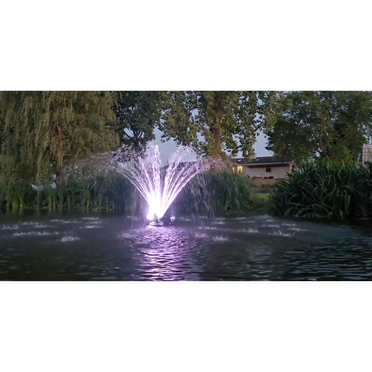 SuperiorPond Bright White Light Kit