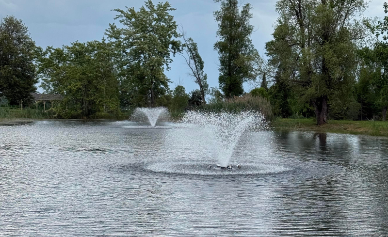 Scott Aerator North Stars In Customers Pond