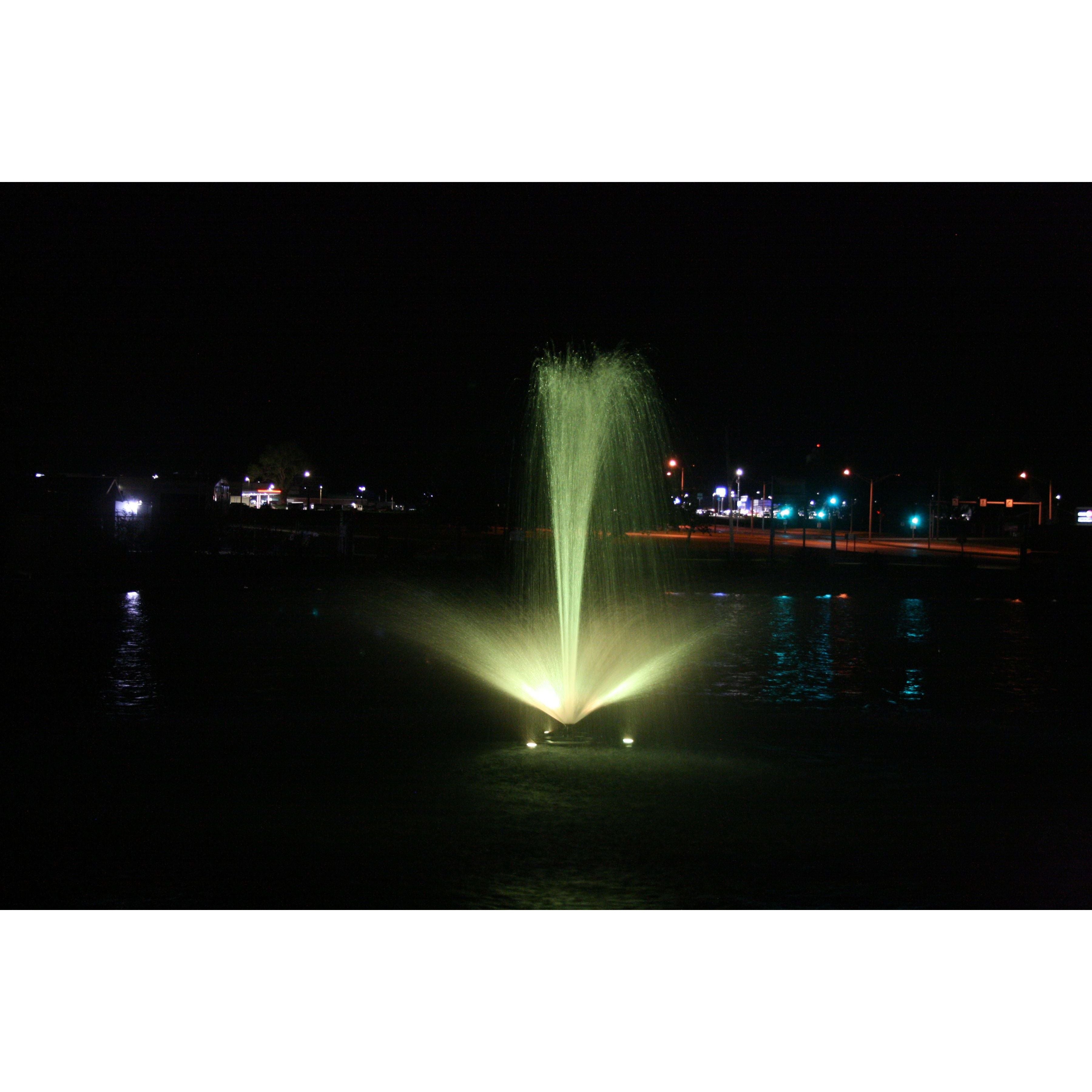 Color Changing Fountain Lights Kit