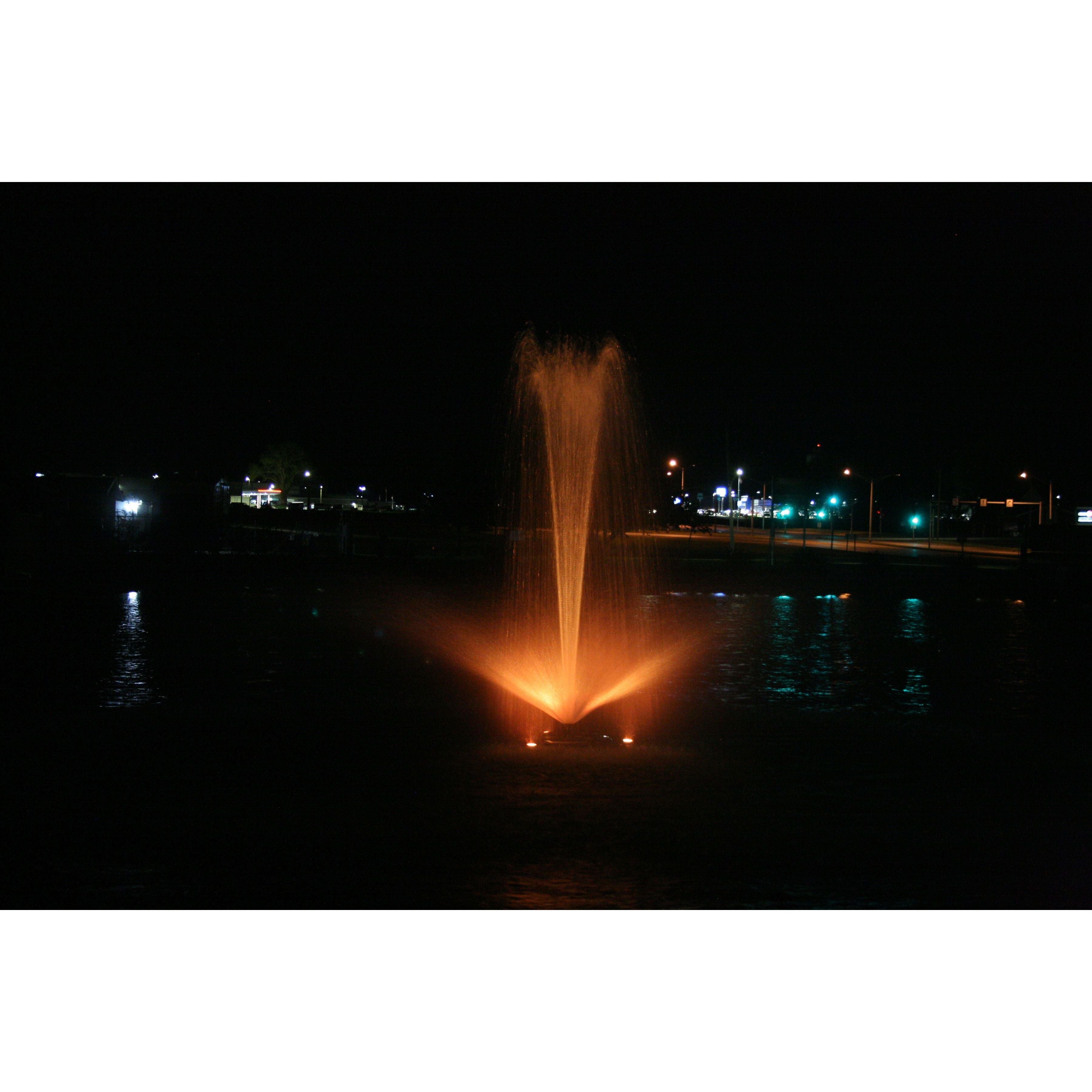 Color Changing Fountain Lights Kit